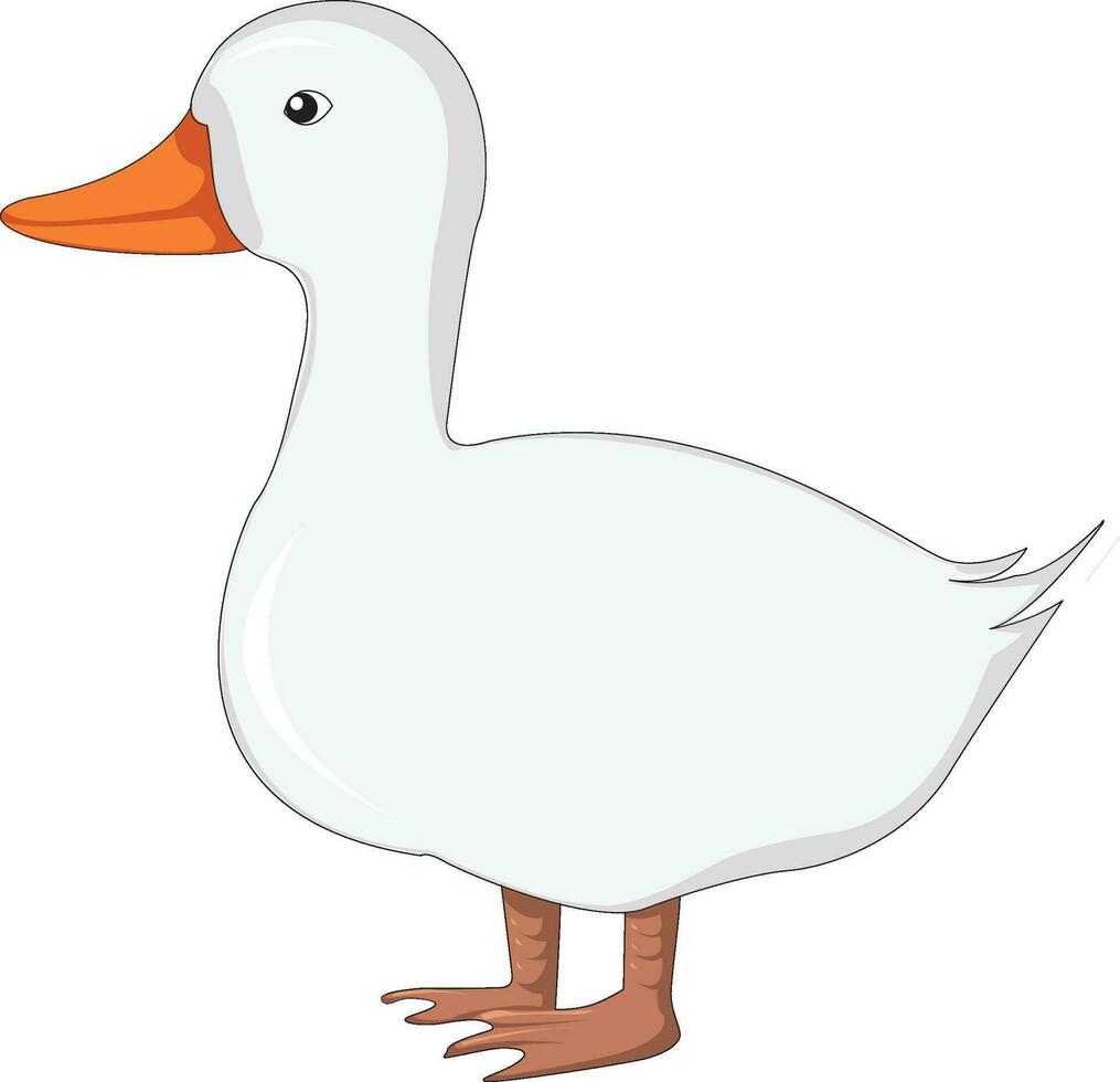 Beautiful duck isolated vector illustration