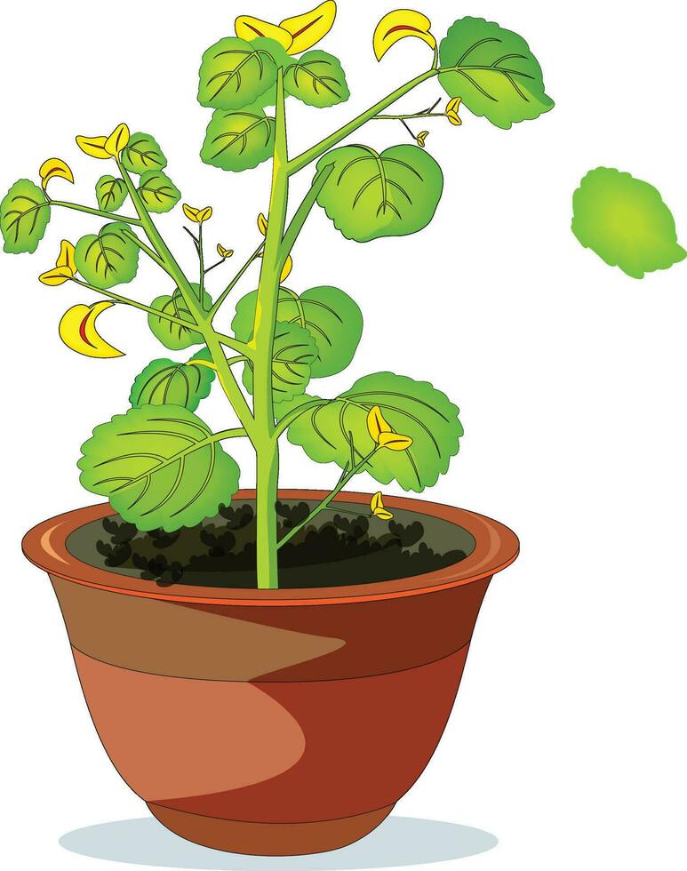 Growing plant in a pot vector illustration