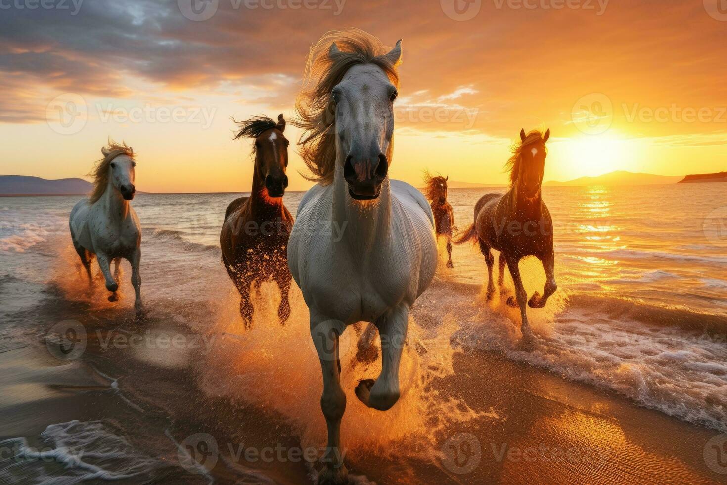AI generated horses running on beach through sea water at sunset. generative AI photo