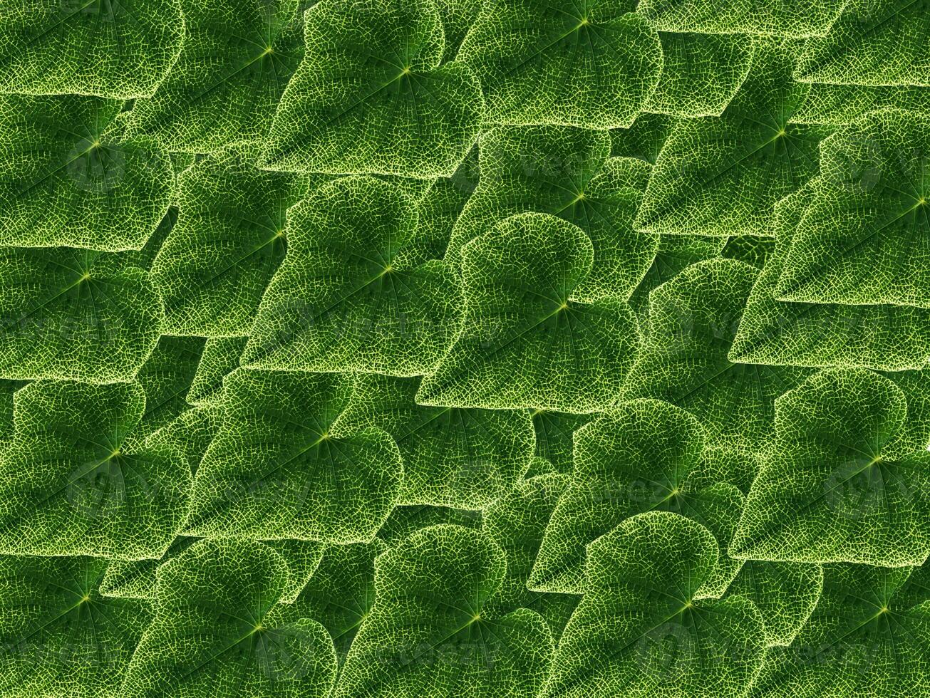 Yellow detail of green leaf background. photo