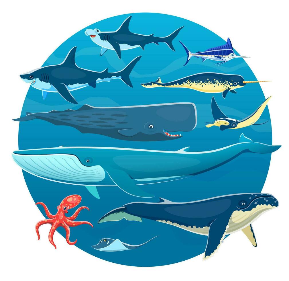 Cartoon sea animals, fish, whales, octopus, sharks vector