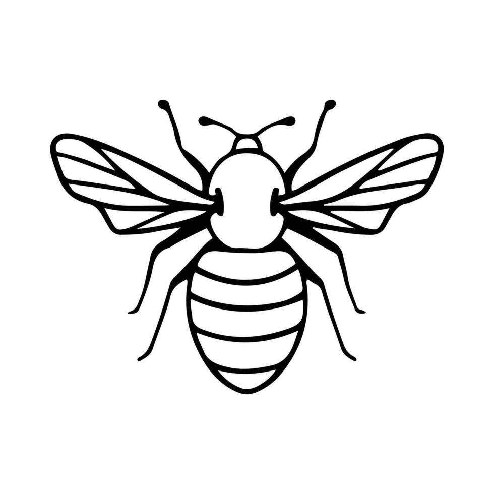 Hand-Drawn Insect Doodle Illustration. Insect or Bug Cartoon In Line Style Isolated In White Background. Insect Cartoon for Coloring Book vector