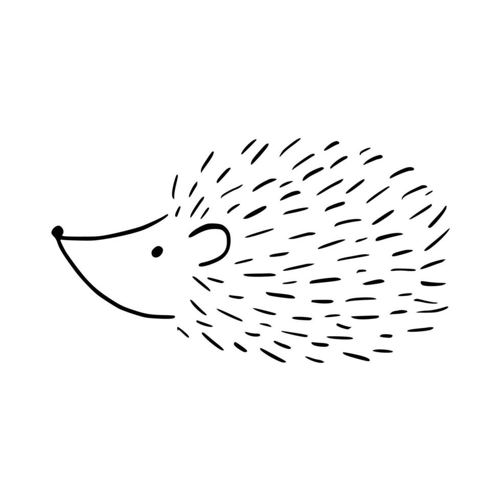 Cartoon doodle cute hedgehog - isolated vector illustration. Hand-drawn adorable hedgehog on his back. Spiny mammal. Forest animals. Vector illustration for children.