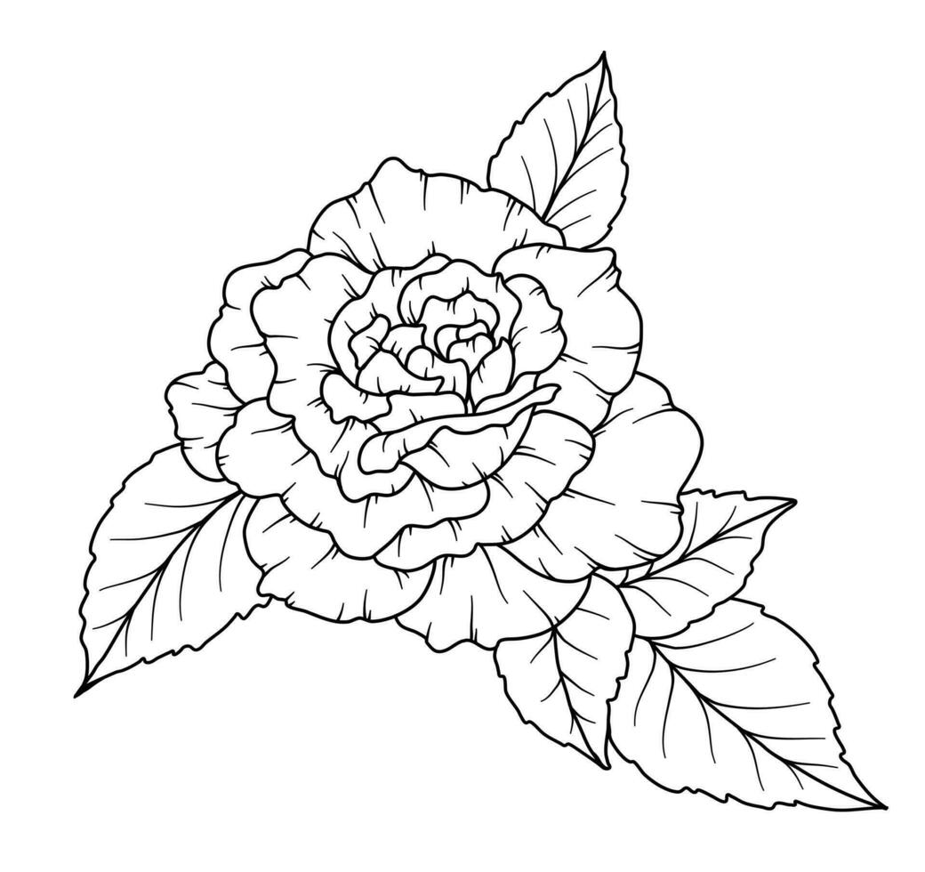 Rose Line Drawing. Black and white Floral Bouquets. Flower Coloring Page. Floral Line Art. Fine Line Rose flower illustration. Hand Drawn flowers. Botanical Coloring. Wedding invitation flowers vector