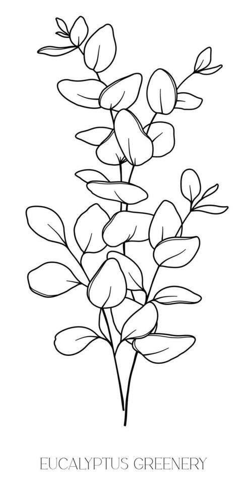 Eucalyptus Line Drawing. Black and white Floral Bouquets. Flower Coloring Page. Floral Line Art. Fine Line Eucalyptus illustration. Hand Drawn greenery. Botanical Coloring. Wedding invitation greenery vector