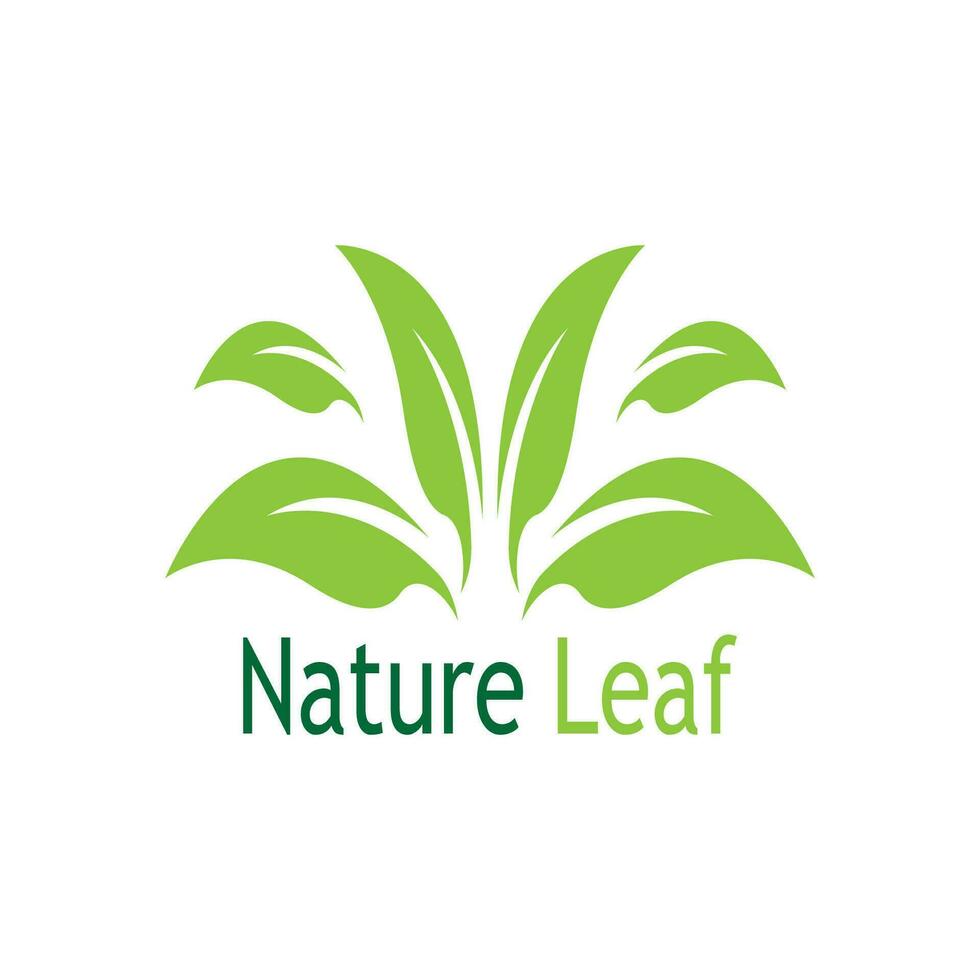 verde hoja naturaleza planta conceptual símbolo vector ilustración