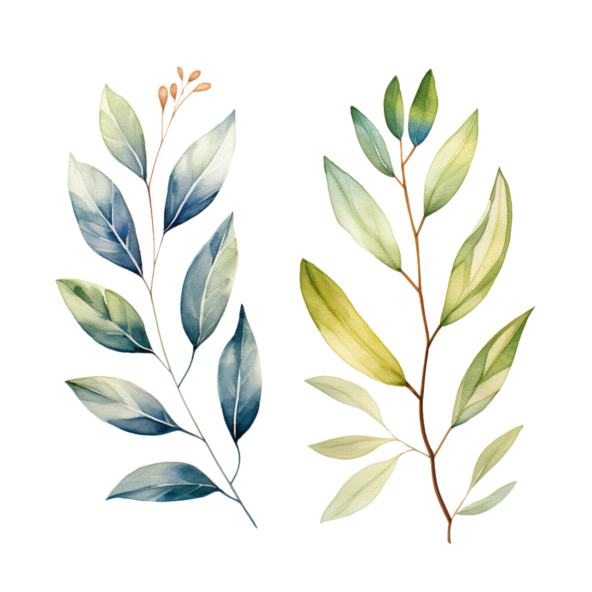 AI generated watercolor eucalyptus leaves on transparent background ...