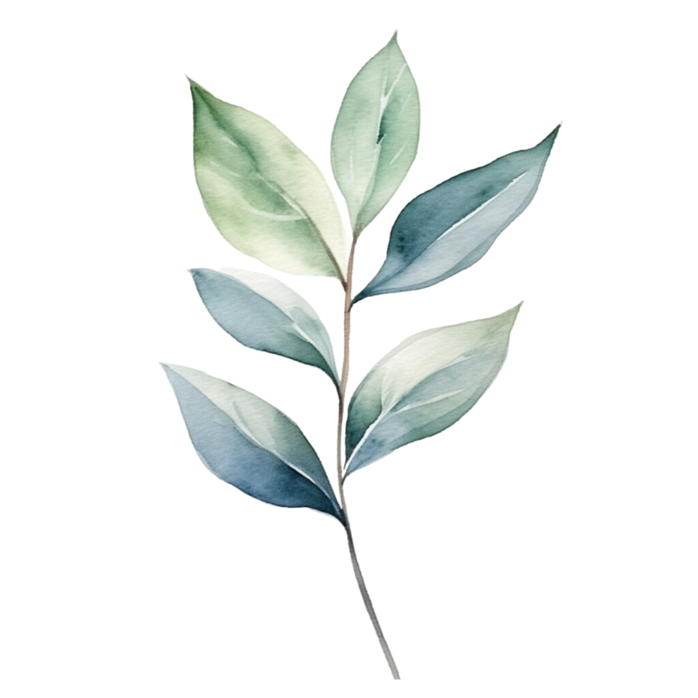 AI generated watercolor eucalyptus leaves on transparent background png
