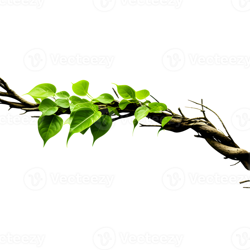 AI generated Jungle Branch with Thriving Plant Isolated on Transparent Background png