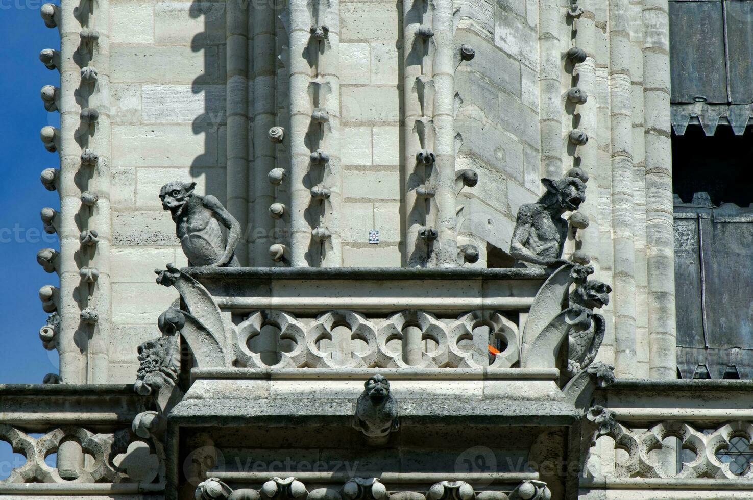 The amazing gargoyles of Notre Dame de Paris in France. A Gothic building constructed during Medieval times, is home to a number of sculptures, including many gargoyles. photo