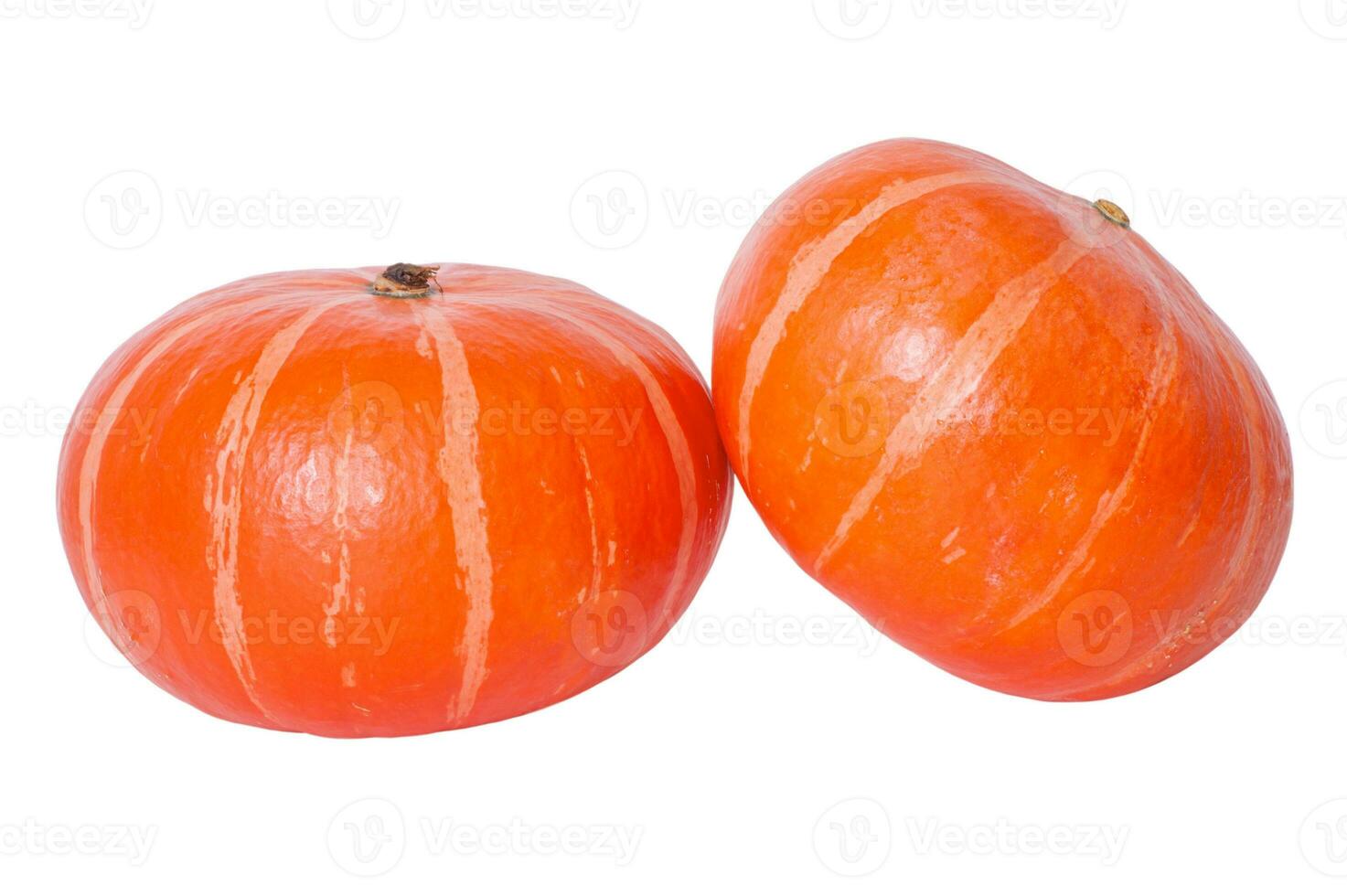 Two ripe orange pumpkins isolated. Healthy food. photo
