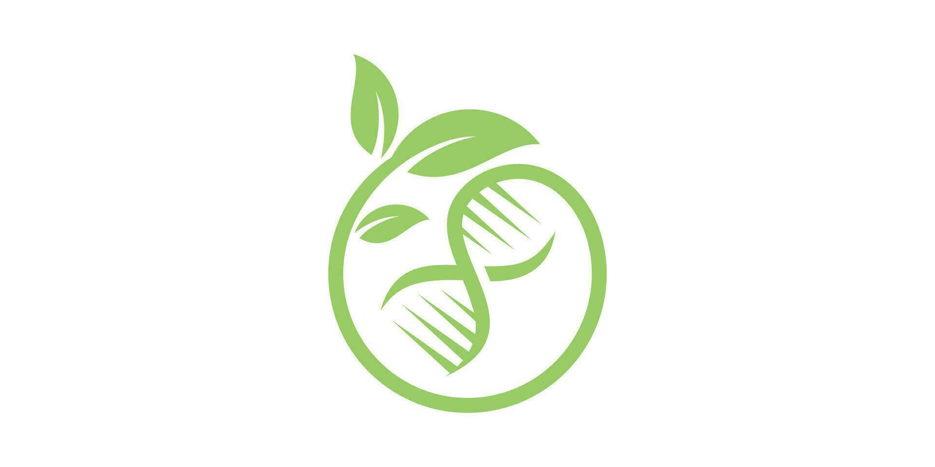 logo design combination of genetic or DNA shapes with leaf, nature, icon, vector, symbol. vector