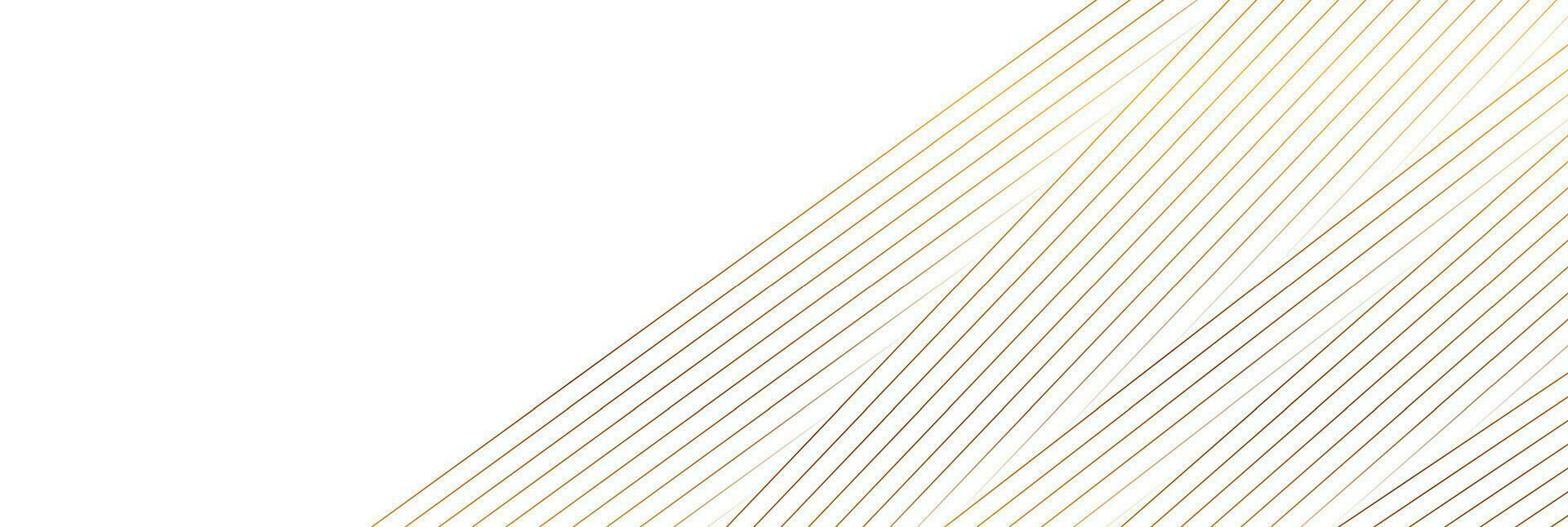 White abstract background with golden lines vector