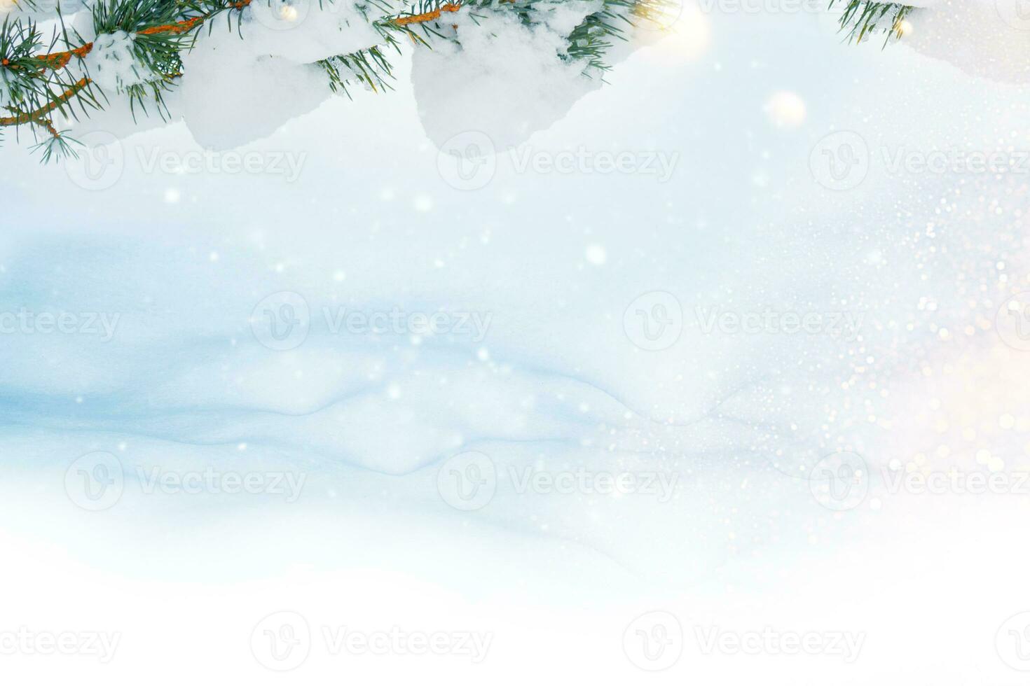 Christmas natural background. New Years Eve. Coniferous spruce branch. Frozen winter forest with snow covered trees. photo