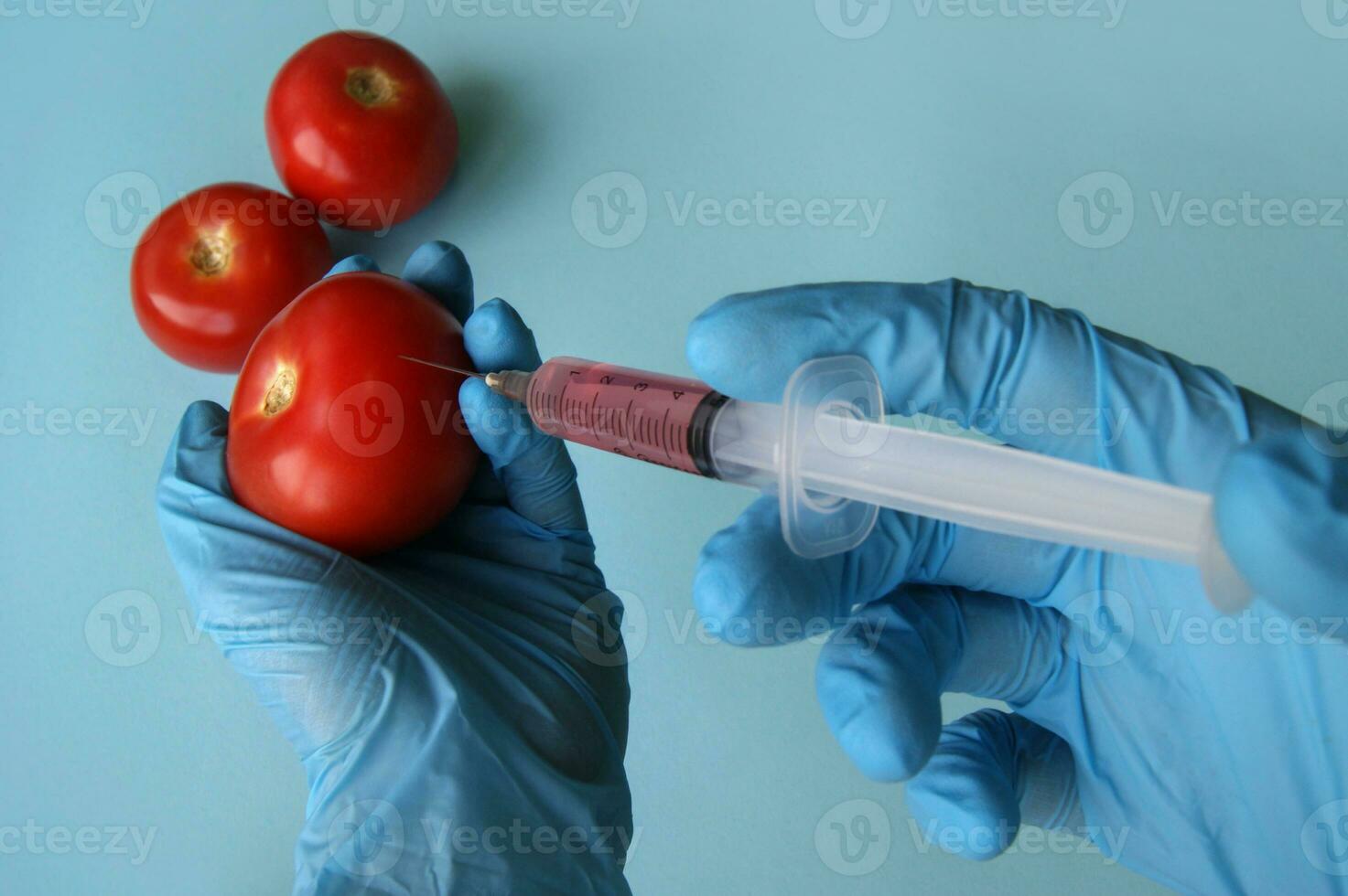 Tomato and syringe with GMO in hands on a blue background. photo