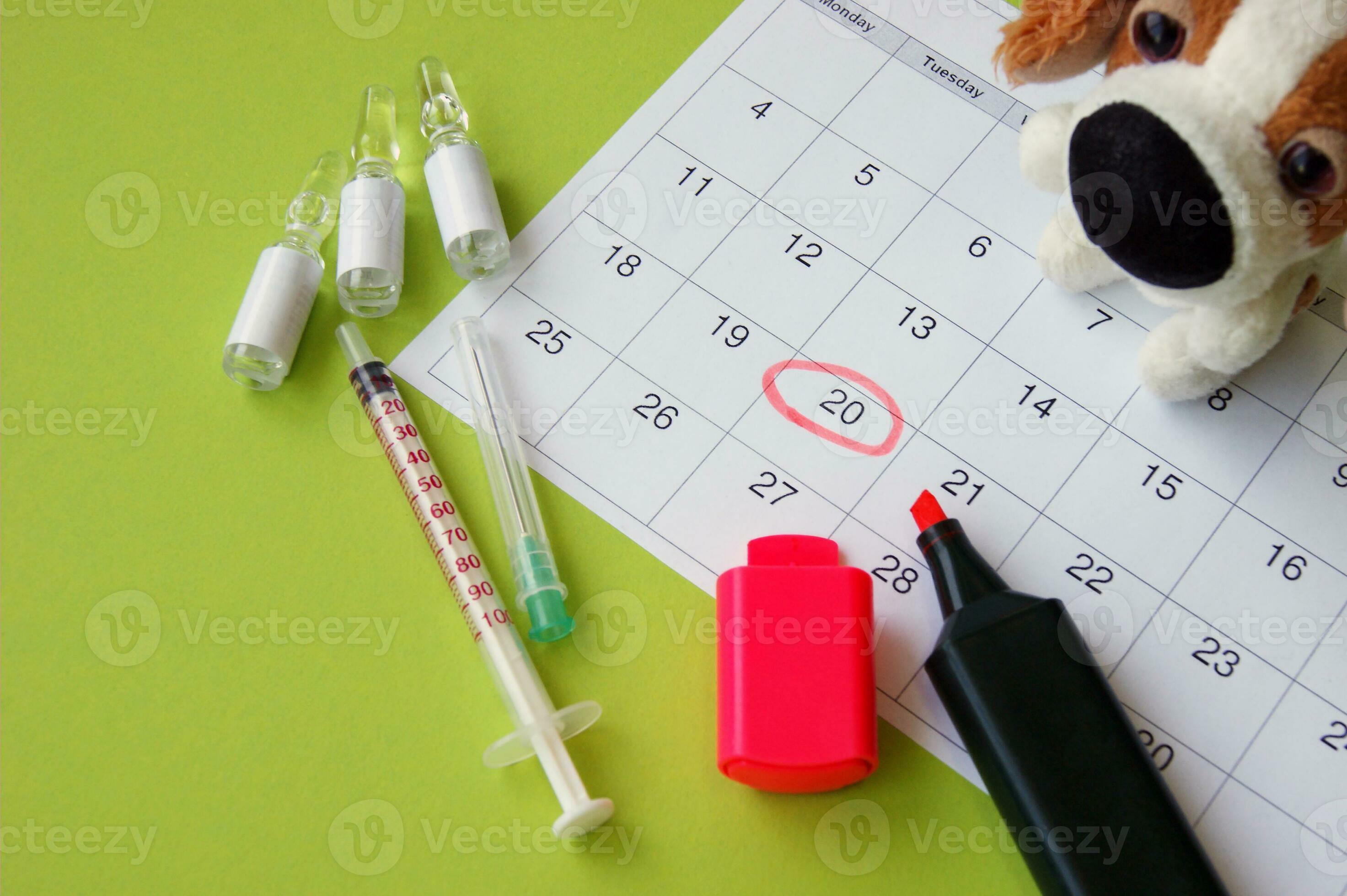 A syringe with ampoules, a soft toy a dog and a calendar with a marked