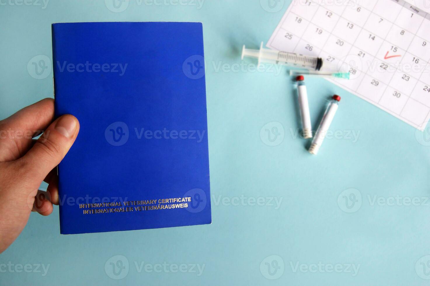 Blue International veterinary pet passport, syringe and ampoule with liquid on a light blue background. photo