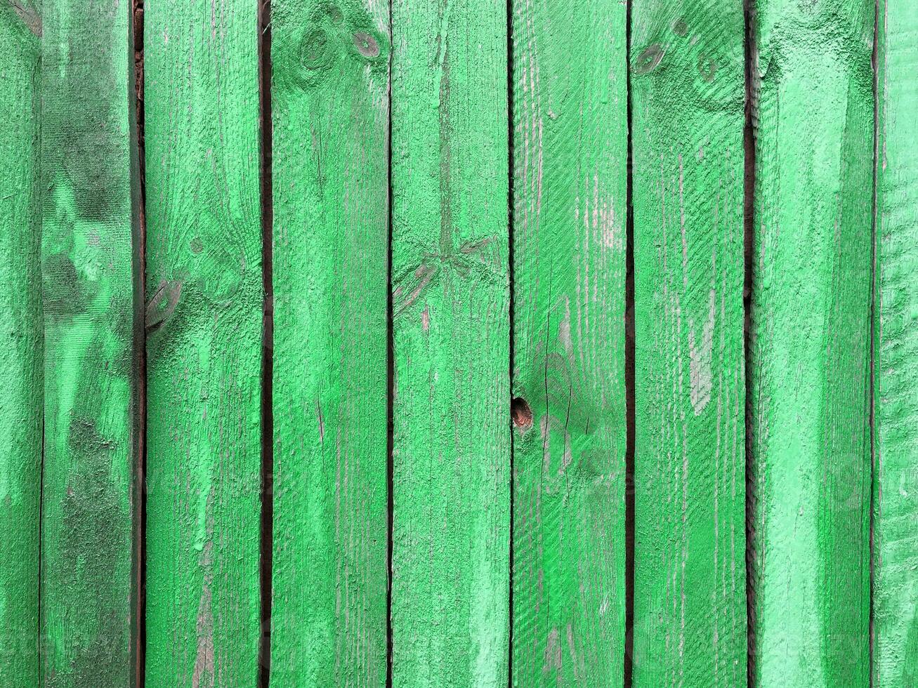 Green wood background, old wooden wall, painted texture. photo