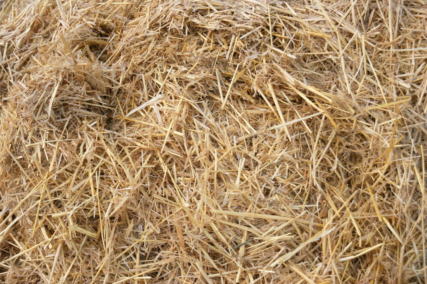 Hay texture. Hay bales are stacked in large stacks. photo
