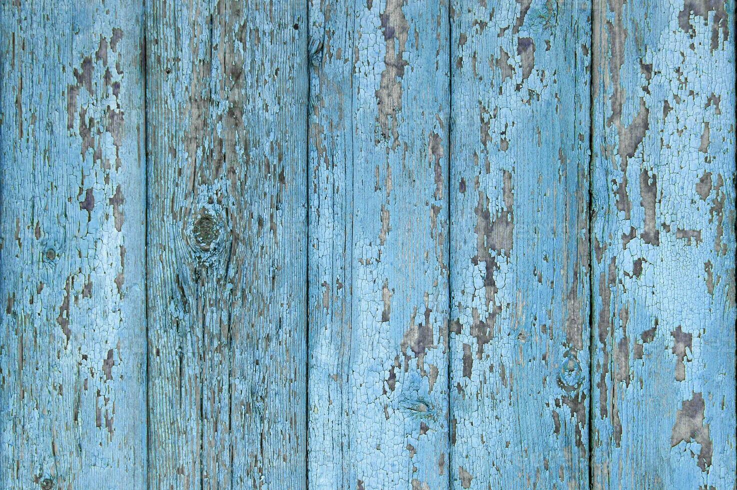 Crackled paint on old light blue wood planks. photo