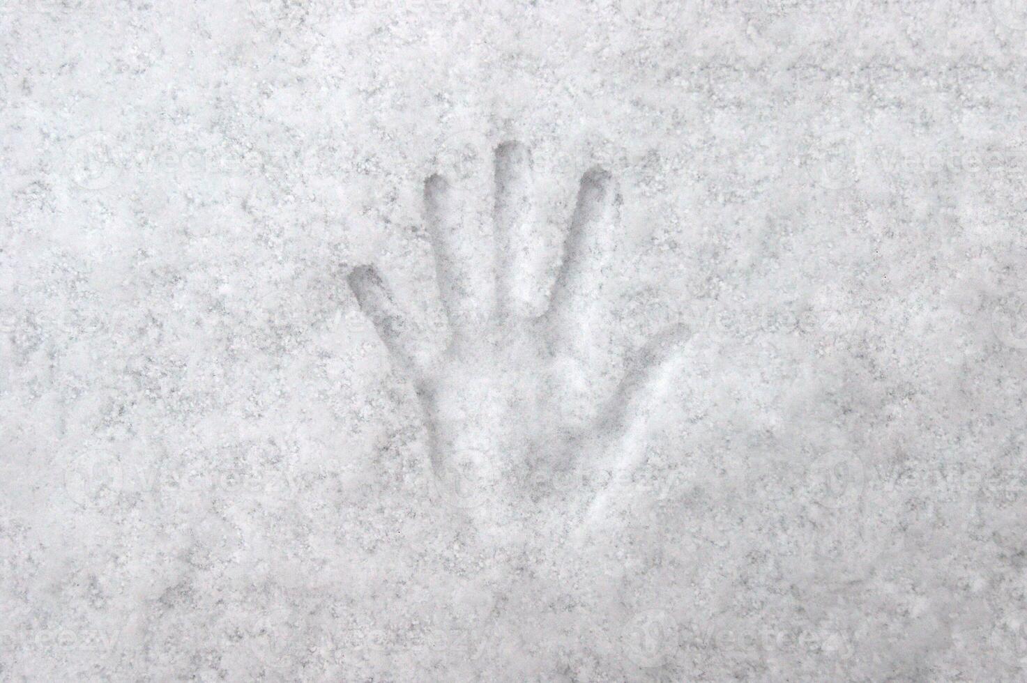 Handprint with fingers in white snow, background, texture. photo
