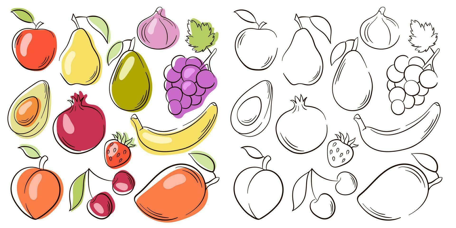 Fruit and berries collection in line art style. Illustration of colored and monochrome fruits for design farm product, menu, restaurants, vegetarian shop. Vector illustration isolated on a white.