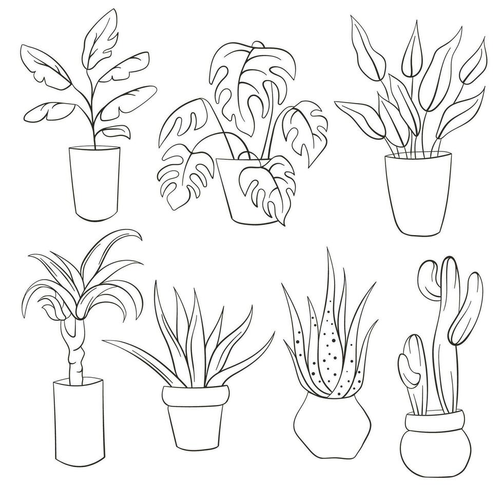 House plants line art style in pots, office flowers. Outline icon set of monstera, cactus, banana tree, succulent. Garden plant vector illustration outline isolated on a white background.