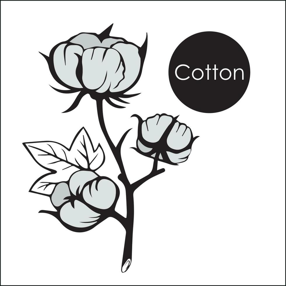 Branch of cotton with flowers and tangles with leaves. wildflowers with stems, floral and botanical elements in sketch style. isolated. vector