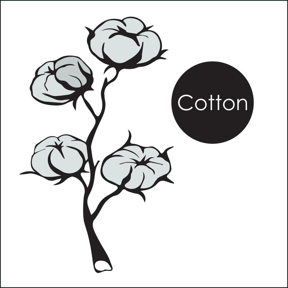 Branch of cotton with flowers and tangles with leaves. wildflowers with stems, floral and botanical elements in sketch style. isolated. vector