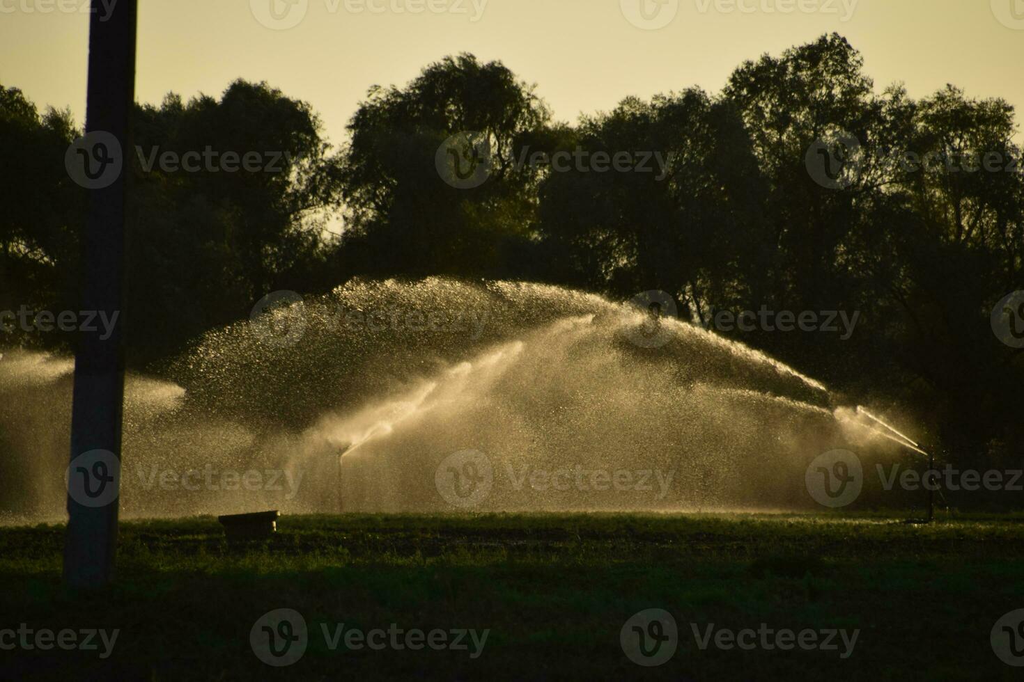 Irrigation system in field of melons. Watering the fields. Sprinkler photo