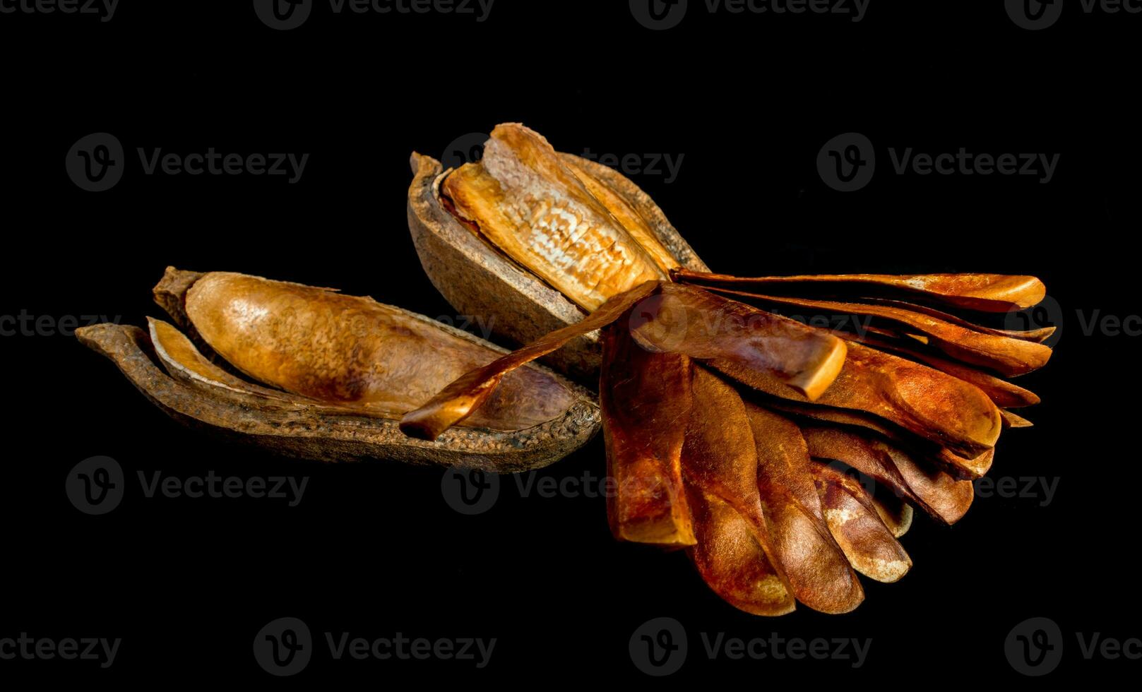 Pods and seeds of  Mahogany on black background photo