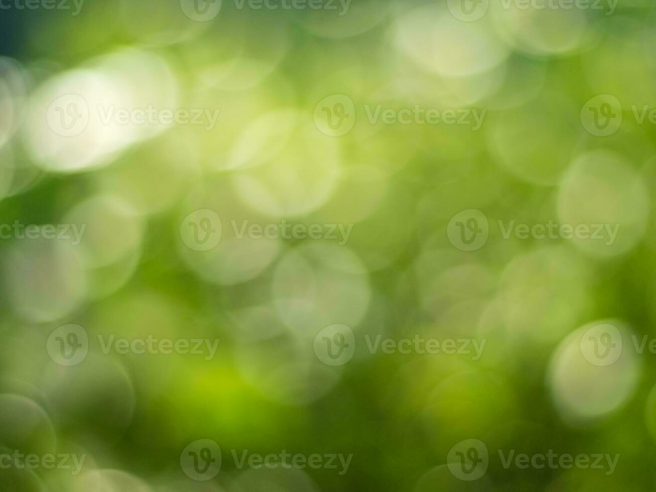 Natural outdoors bokeh background in gold sunlight with green and yellow tones, Blurred light and leaf background with bokeh photo