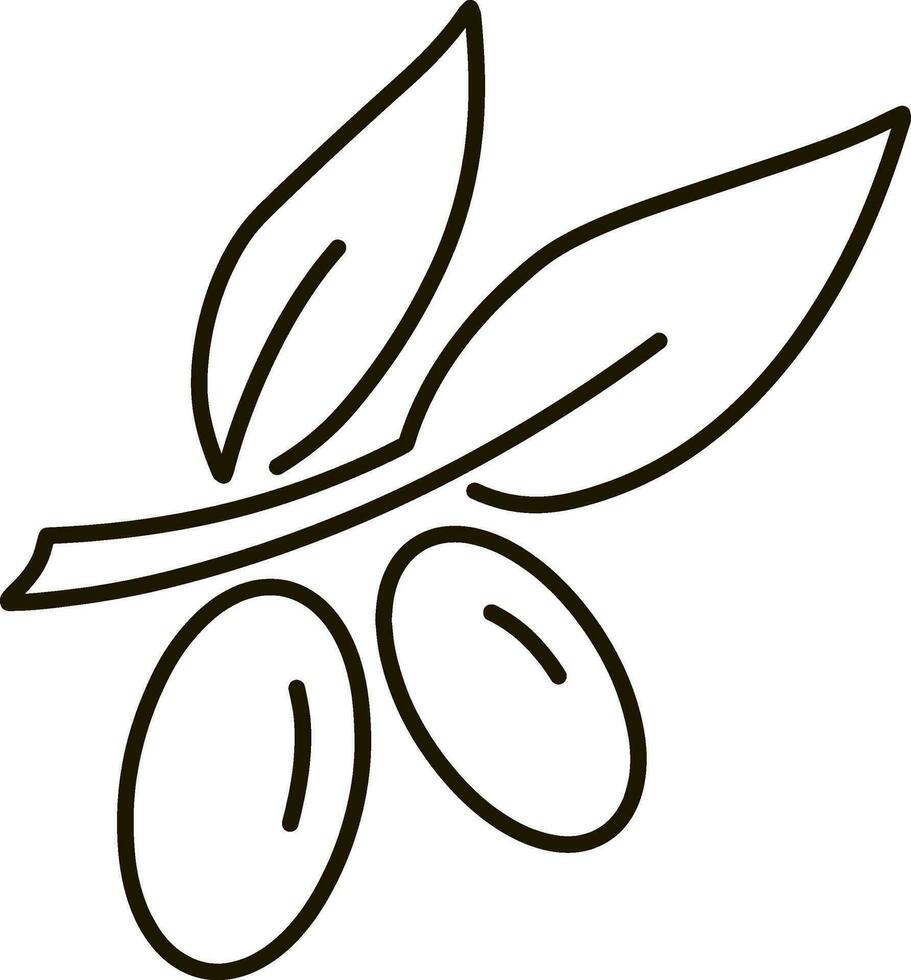 Olive clipart Branch leaf fruit Sketch Vector illustration