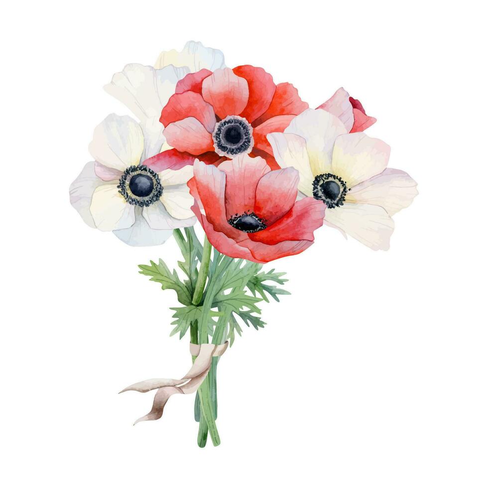 de la novia ramo de flores de blanco y rojo anémona flores con cinta acuarela vector ilustración. campo amapolas para primavera Boda