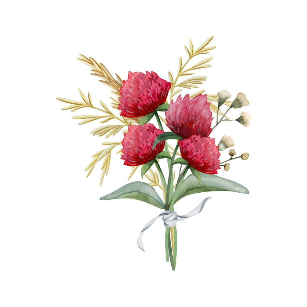 Red clover with wildflowers and dry grass bouquet vector