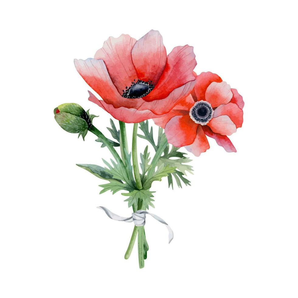 Red wildflowers anemone bouquet with field poppies vector
