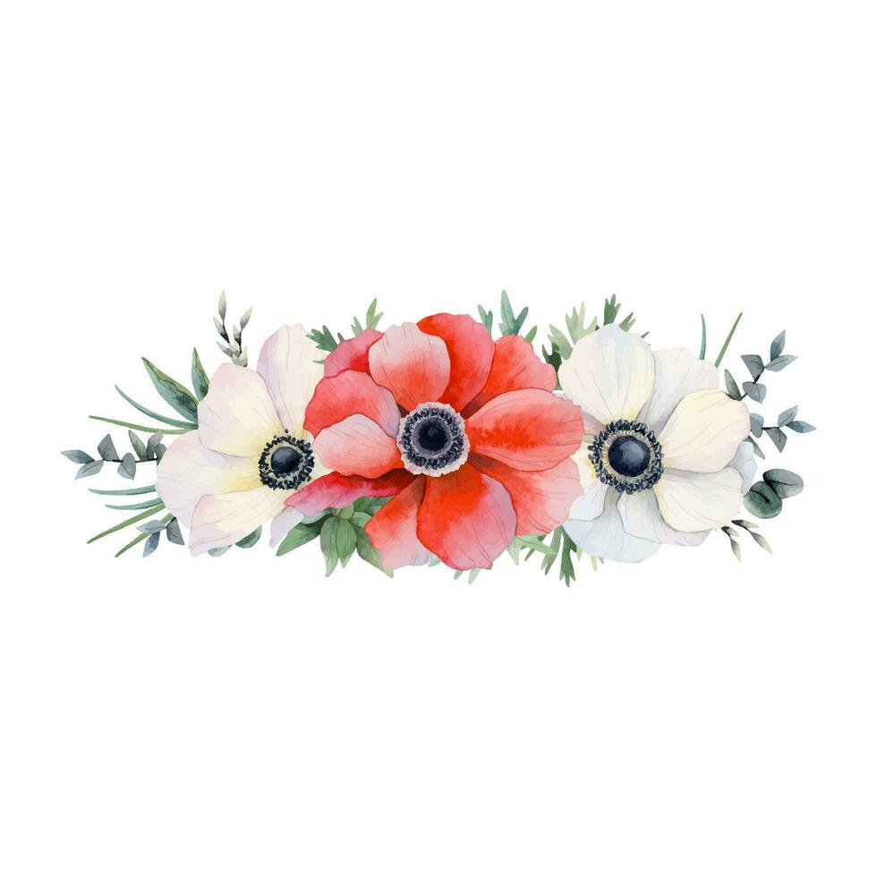 Red and white anemone flowers horizontal banner with eucalyptus watercolor vector  floral illustration. Field poppy