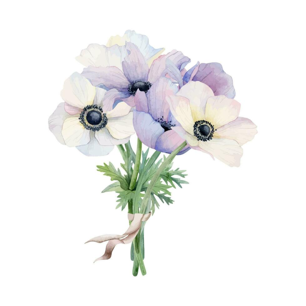 Pastel bride's bouquet of white and purple anemone flower watercolor vector illustration. Field poppies for spring wedding