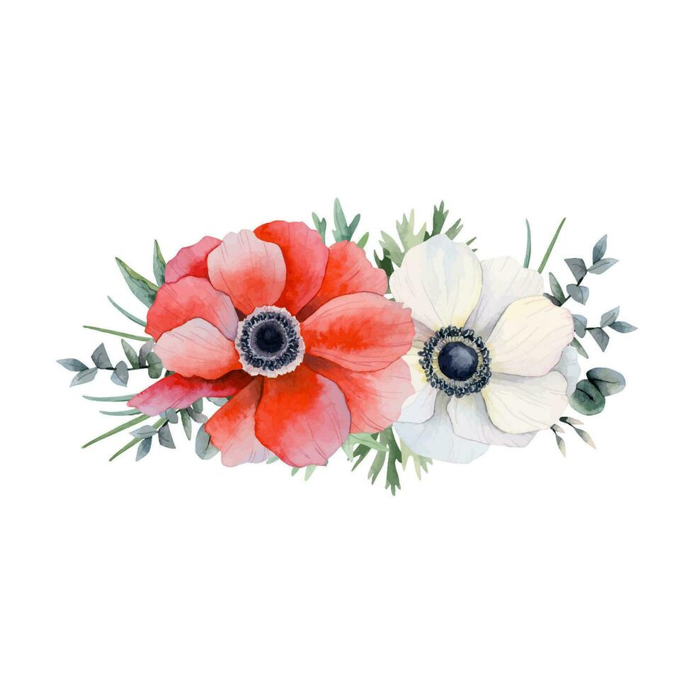 Red and white anemone flowers with eucalyptus branches watercolor vector floral illustration. Field poppy horizontal banners