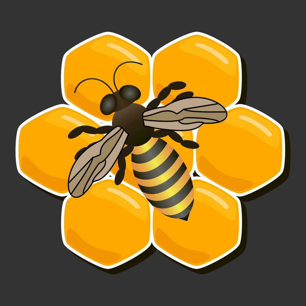 Illustration on theme for label of sugary flowing down honey in honeycomb with bee vector