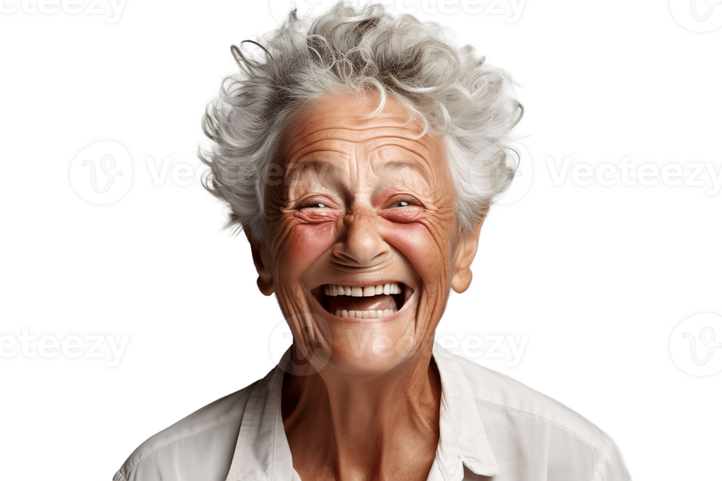 AI generated Happy Grandmother's Face Shot Isolated on Transparent Background. AI png