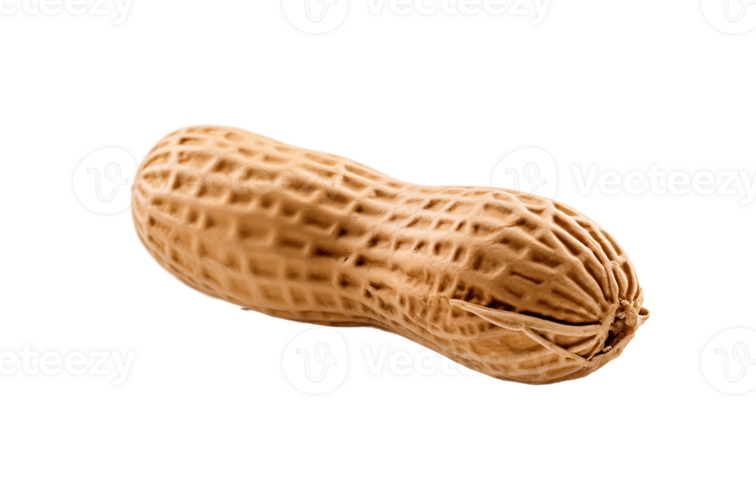 AI generated Single Peanut on Transparent Background. AI png