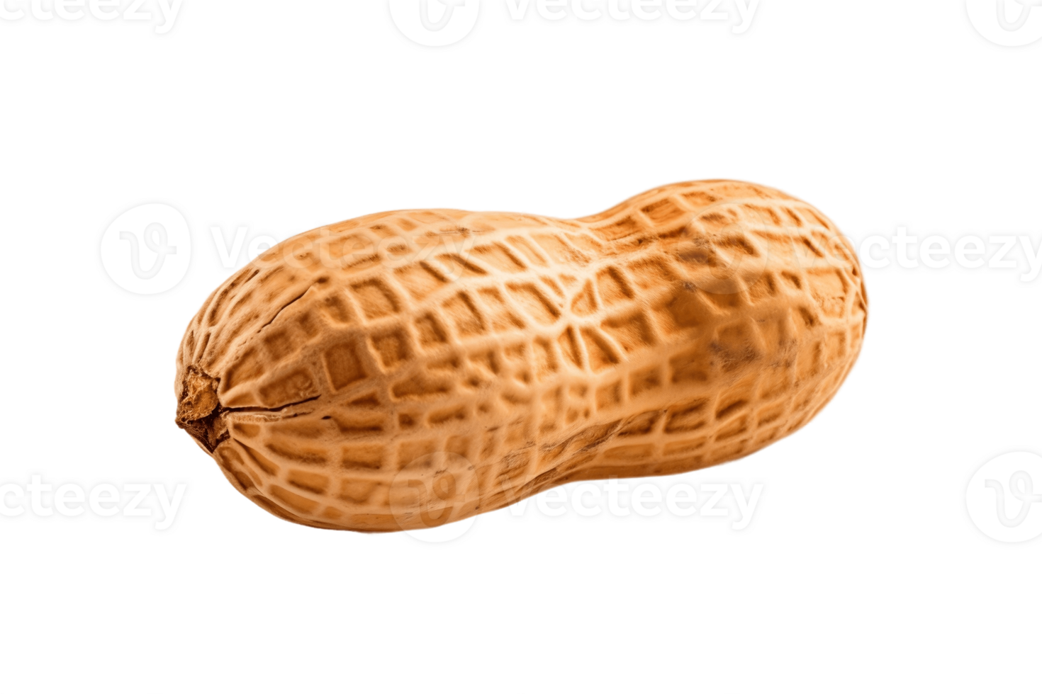 AI generated Single Peanut on Transparent Background. AI png