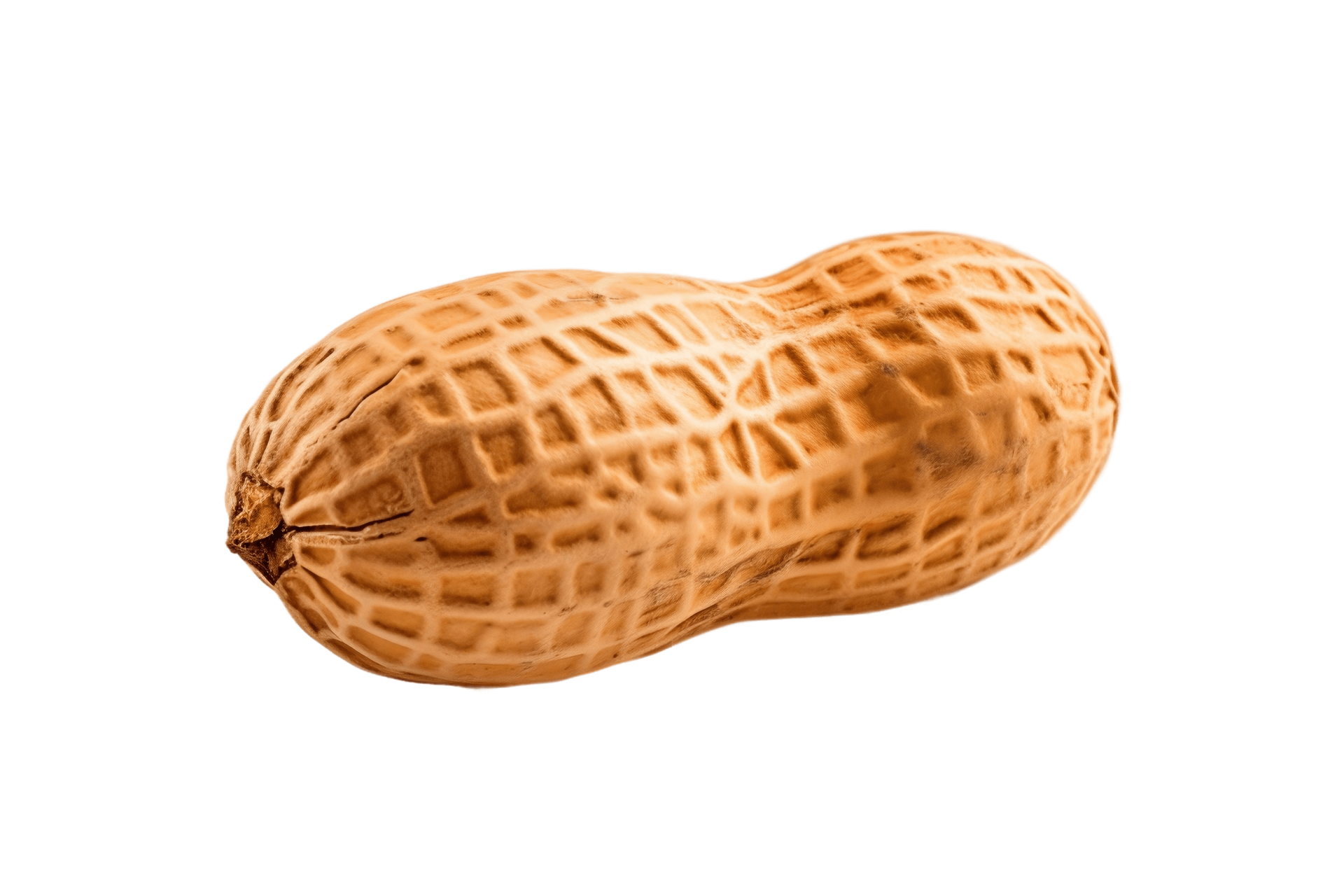 Ai generated single peanut on transparent background ai 36048425 png