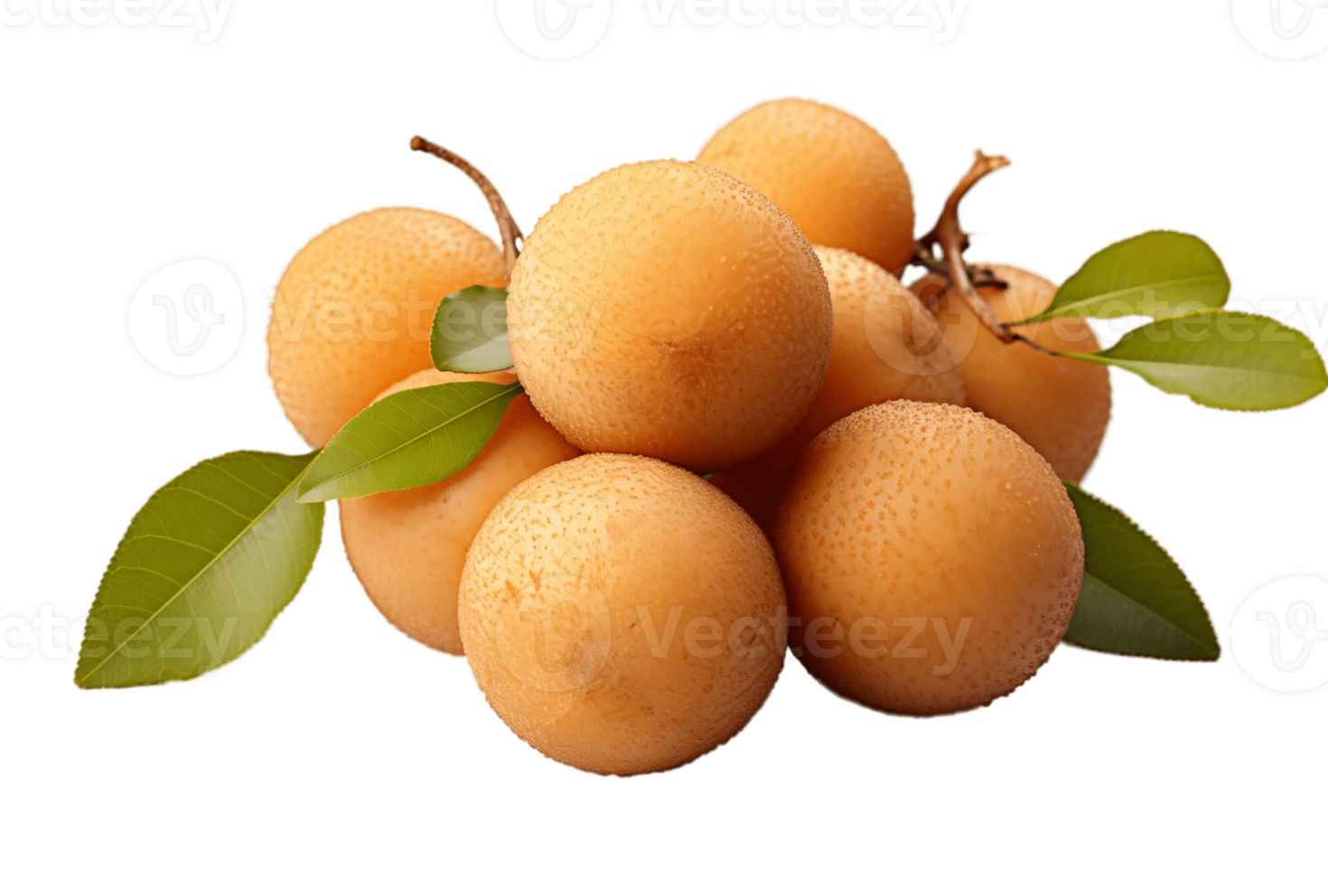 AI generated A Longan fruit on a Transparent Background. AI png