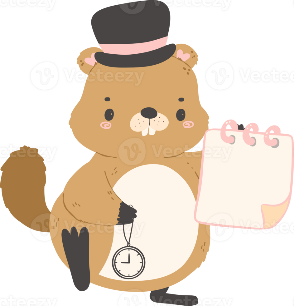 Cute Groundhog illustration png