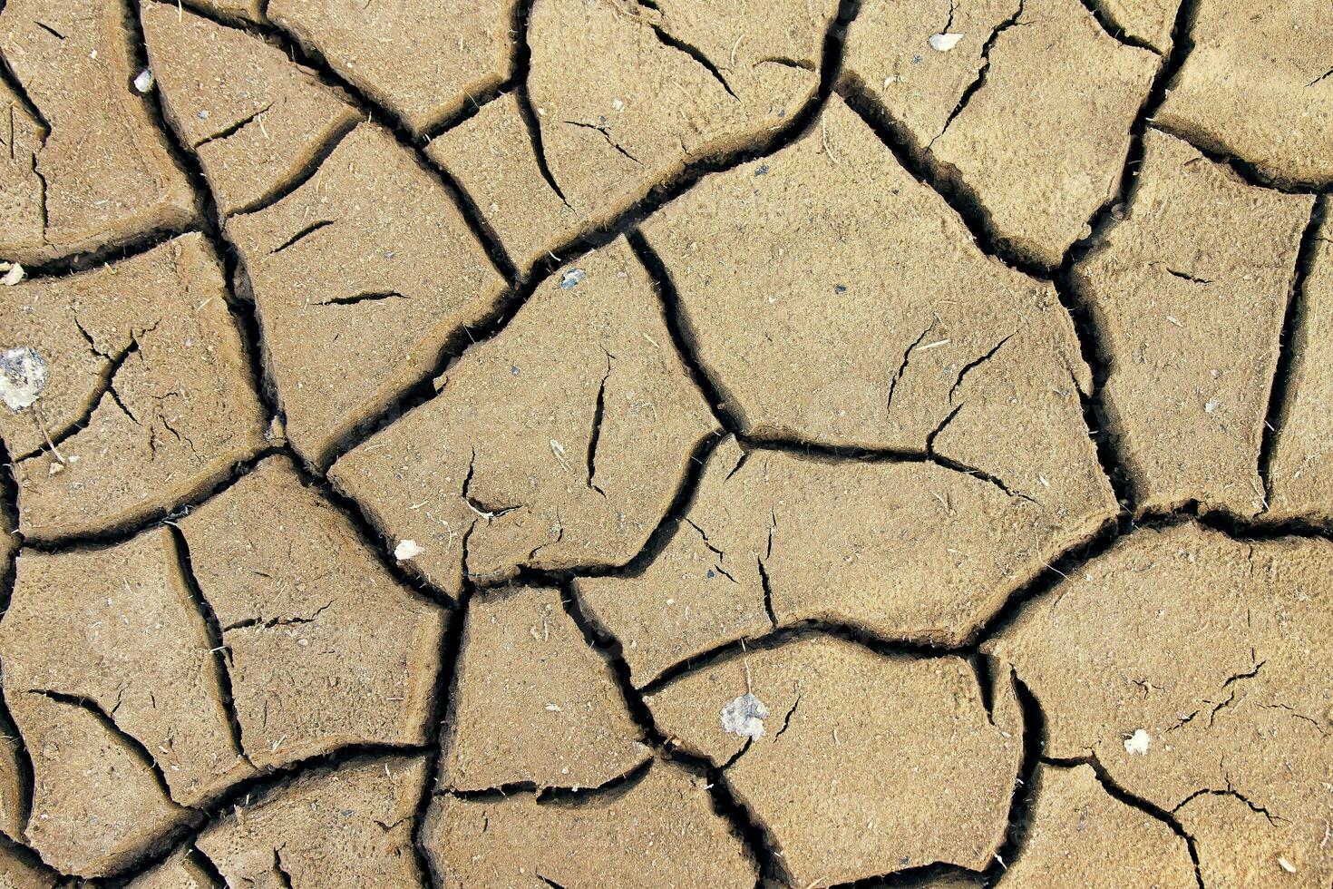 Dry soil cracking photo