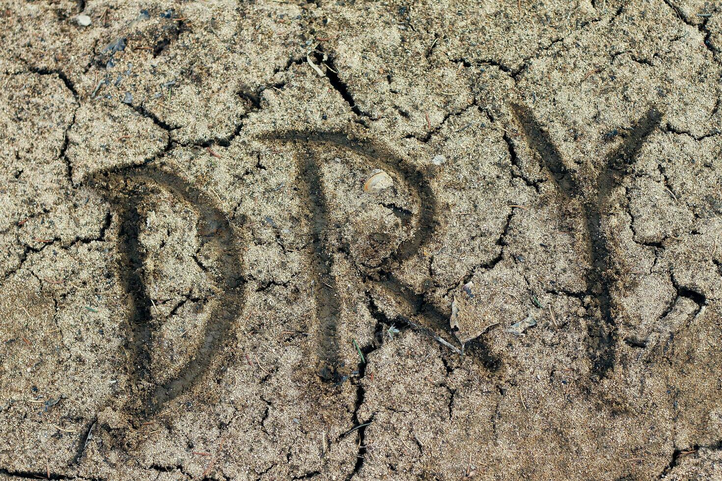 The word dry. Closeup of dry soil photo