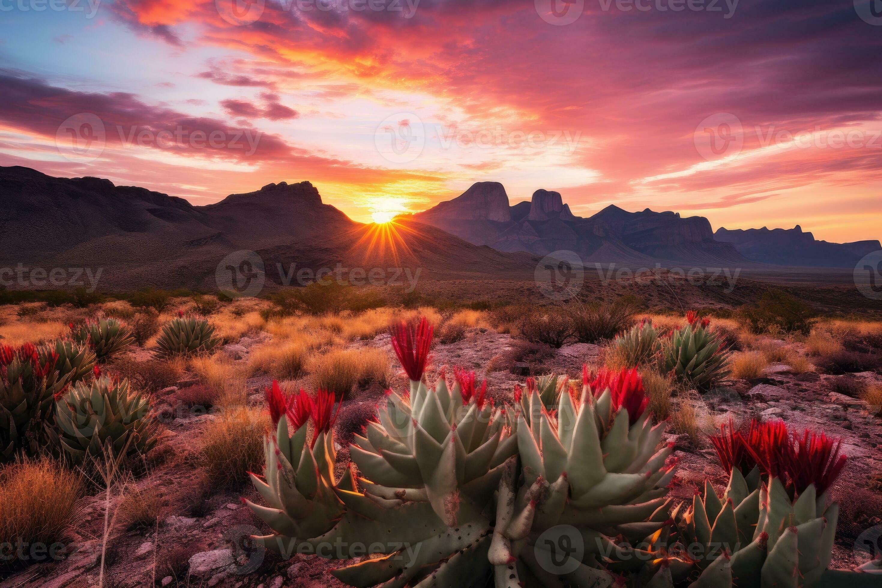 Desert Sunset Texas Tee Desert Sunset Texas Tee