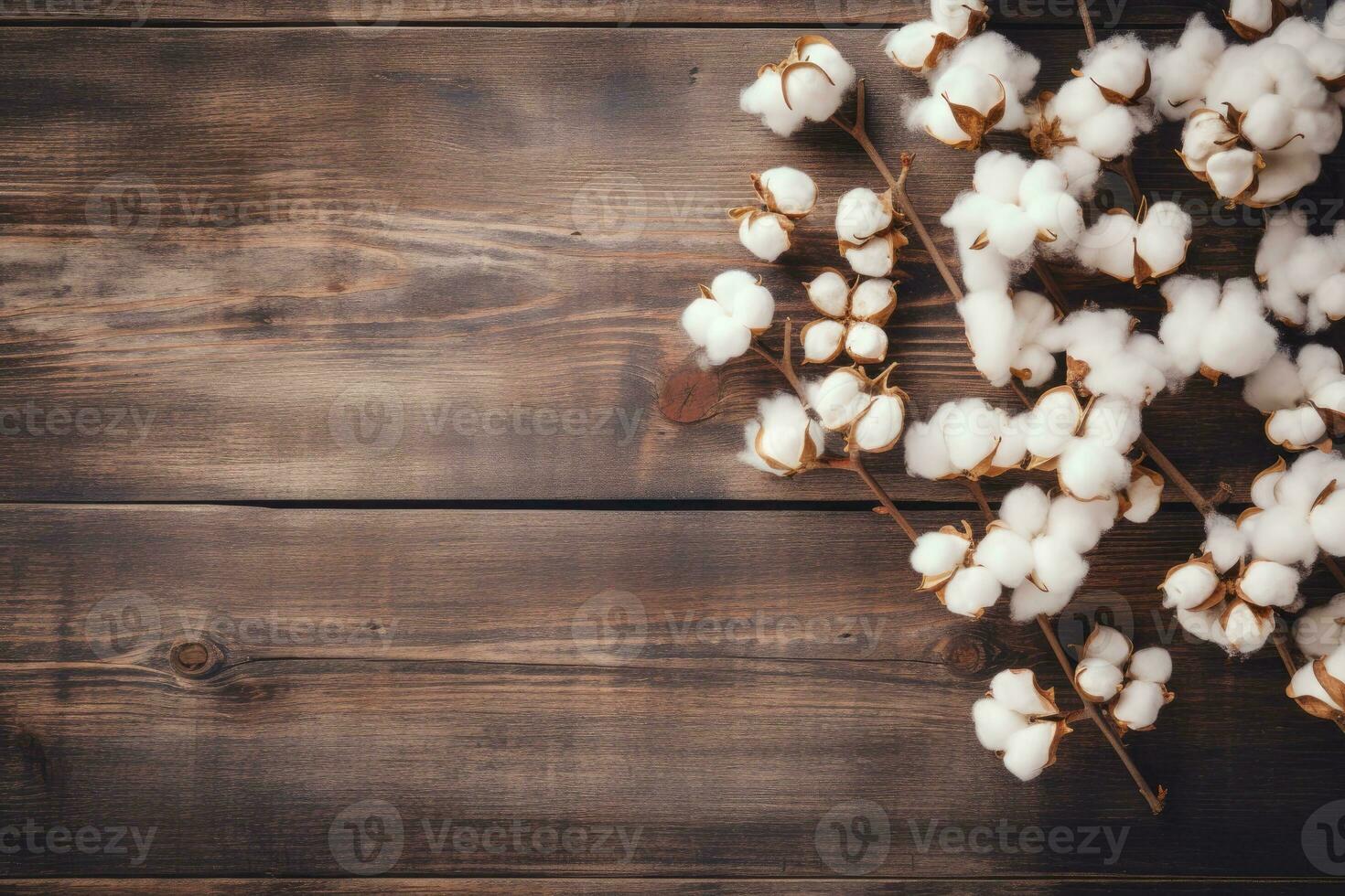 AI generated Cotton flowers on wooden background photo